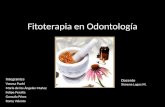 Fitoterapia en Odontologia