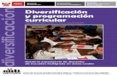 Guía - Diversificación Curricular (Fuente MINEDU)