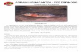 Arrain Hiruarantza - Pez Espinoso