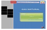 Gas Natural[1]