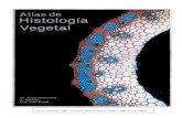 Atlas de Histologia Vegetal