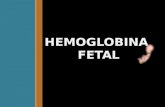 Hb Fetal, Ham Test y Sucrosa Test