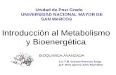 Metabolismo y Bioenergetica