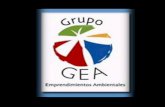 Diapositivas Grupo GEA