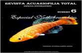 Revista Acuariofilia Tota Numero 6 "Especial Nothobranchius"