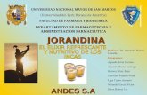 Jorandina_Proyecto Final_ Gerencia rial UNMSM