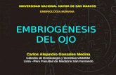 Embriologia Del OJO Carlos Gonzales Medina UNMSM