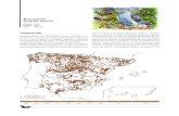 Atlas de las aves reproductoras en España