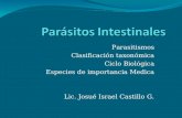Parasitos Hematicos, Intestinales y hongos de importancia medica