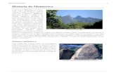 Historia de Monterrey en Wikipedia