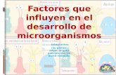 Factores Que Influyen en Los Microorganismos