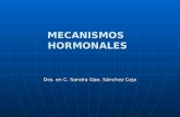 MECANISMOS HORMONALES