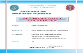 SEMINARIO ACTINOMICOSIS - NOCARDIOSIS