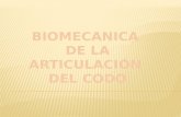 Biomecanica Del Codo - Exposiscion Final