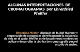 Cromatografia - 4 Interpretaciones de Pfeiffer 2