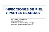Infecciones de Piel y Partes Blandas, p. Etchevery