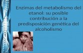 Enzimas Del Metabolismo Del Etanol(1)