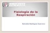 Fisiologia Respiratoria (Clase)