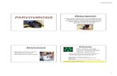 ENFERMEDADES VIRALES Caninos y Felinos 2010 [Modo de ad