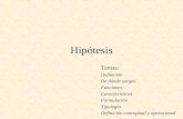 11 Hipótesis