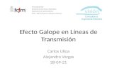 PPT 3 Efecto Galope