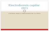 Electroforesis capilar