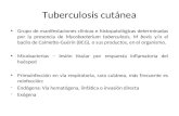 Tuberculosis cutánea