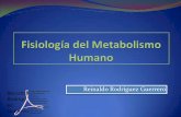 Fisiología del Metabolismo
