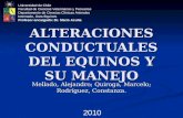 Alteraciones Conductuales Del Equinos y Su Manejo