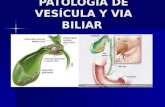 11 Patología de vesícula y vía biliar