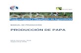 EDA Manual Produccion Papa 09 08