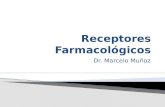 Farmacologia - Receptores Farmacológicos