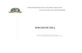 Biodiesel en Bolivia
