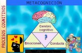 Metacognición 2