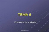 Tema 6 El informe de auditoría