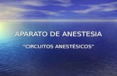 Circuitos anestésicos
