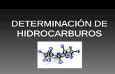 Determinación de Hidrocarburos