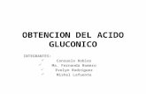 Obtencion Del Acido Gluconico Diapo