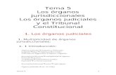 5. Los órganos jurisdiccionales. Los órganos judiciales y el Tribunal Constitucional