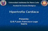 Hipertrofia Cardiaca