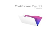 Tutorial FileMaker 11 Pro