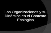 Las Organizaciones y Su Dinamica en El Contexto Ecologico