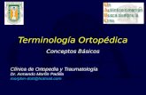 Terminología Ortopédica