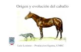 02-Origen y Evolucion Caballo