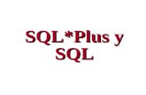 Curso SQL Plsql