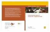 manual-DOP Diagnostico Plan Estrategico ONG