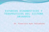 Estudios Diagnosticos y Terapeuticos Del Sistema Urinario