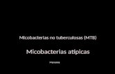 Micobacterias atípicas
