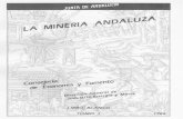 Libro Blanco de La Mineria Andaluza