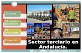 Sector Terciario Andaluz